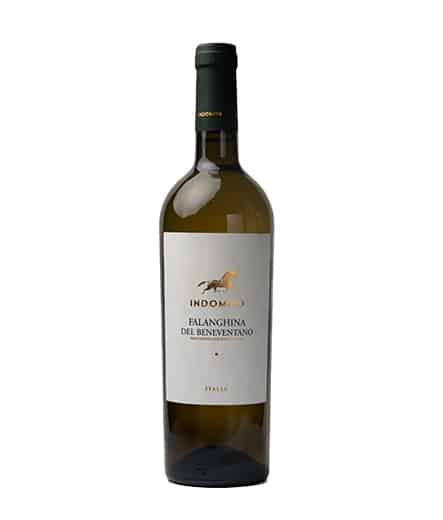 INDOMITO FALANGHINA 75CL - SUPER DEAL