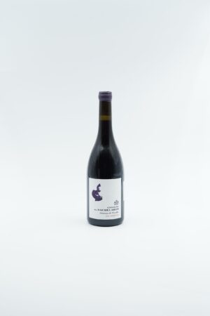 SAINT AMOUR CHATEAU DES BACHELARDS 75CL