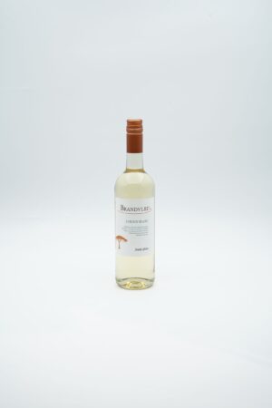 BRANDVLEI CHENIN BLANC S.AFRICA 75CL