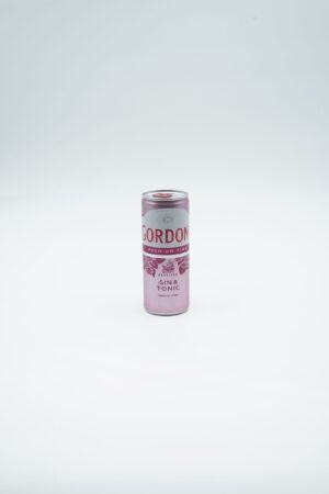 GORDON'S PINK & TONIC CAN 25CL X12