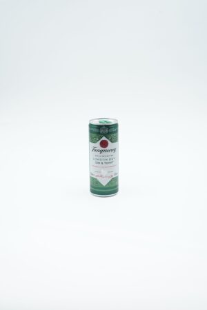 TANQUERAY & TONIC CAN 25CL X12