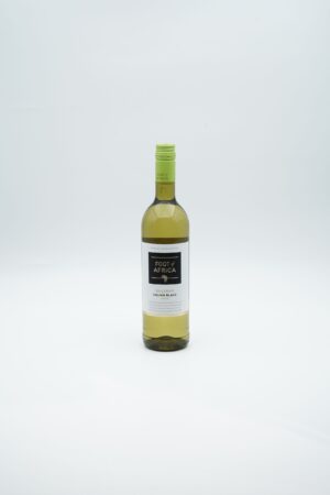 FOA CHENIN BLANC 20